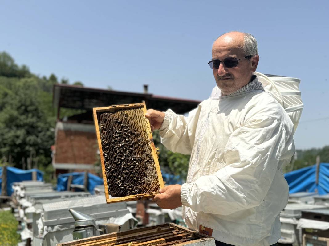 Öyle tatlı ki! Hasadı gelmeden sipariş yağmuru geliyor 1